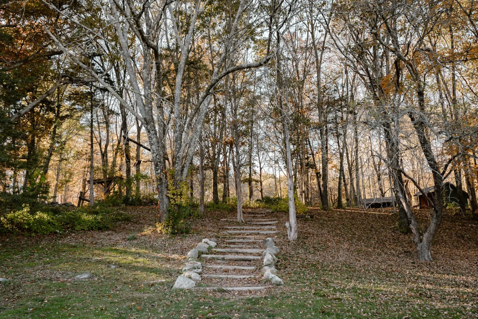 holiday-hill-lean-tos-on-the-hill-new-york-city (1)